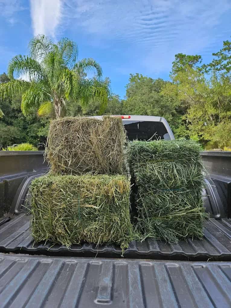 Hay bales loaded into a customer truck bed at the Farmers Direct Hay and Feed yard in Williston, FL
