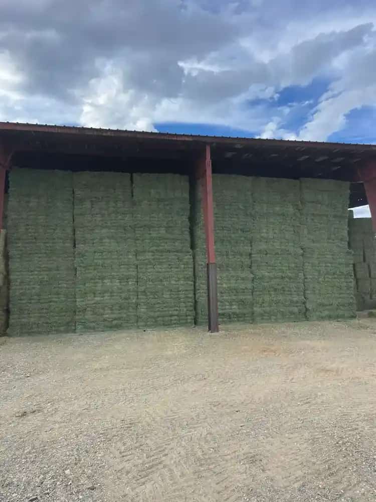 Stacked hay bales inside the Farmers Direct Hay and Feed barn in Williston, FL