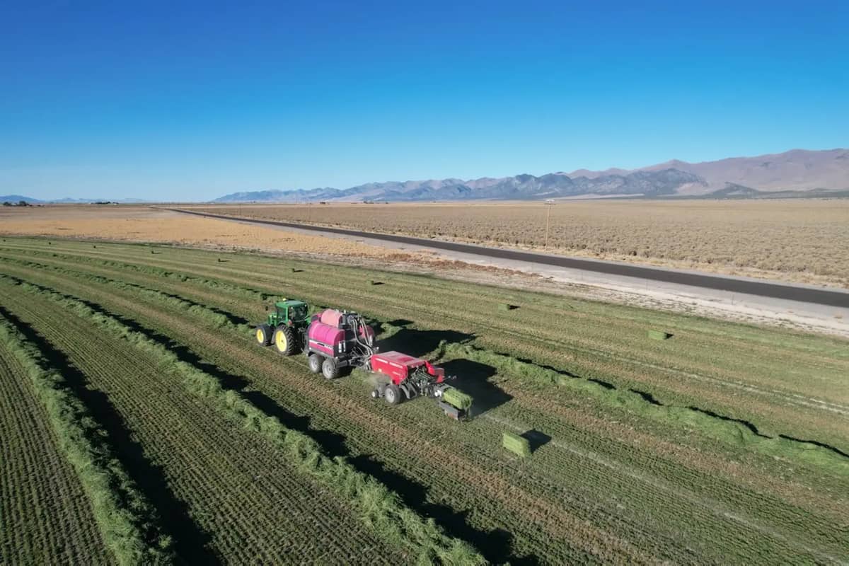 Hurricane Hay and Feed Prep for Florida Horse Owners