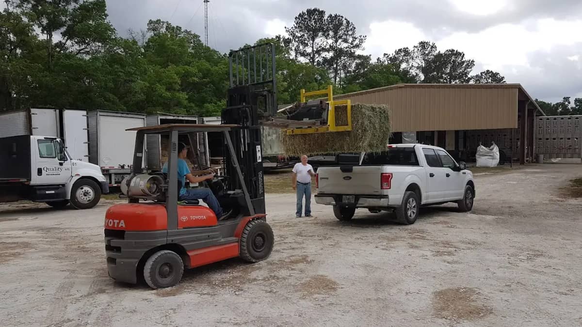 Buying Hay in Bulk: Container-Load Hay for Barns