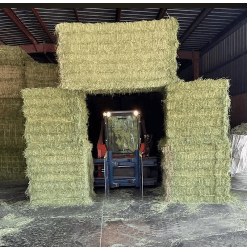 Alfalfa Big Bales 