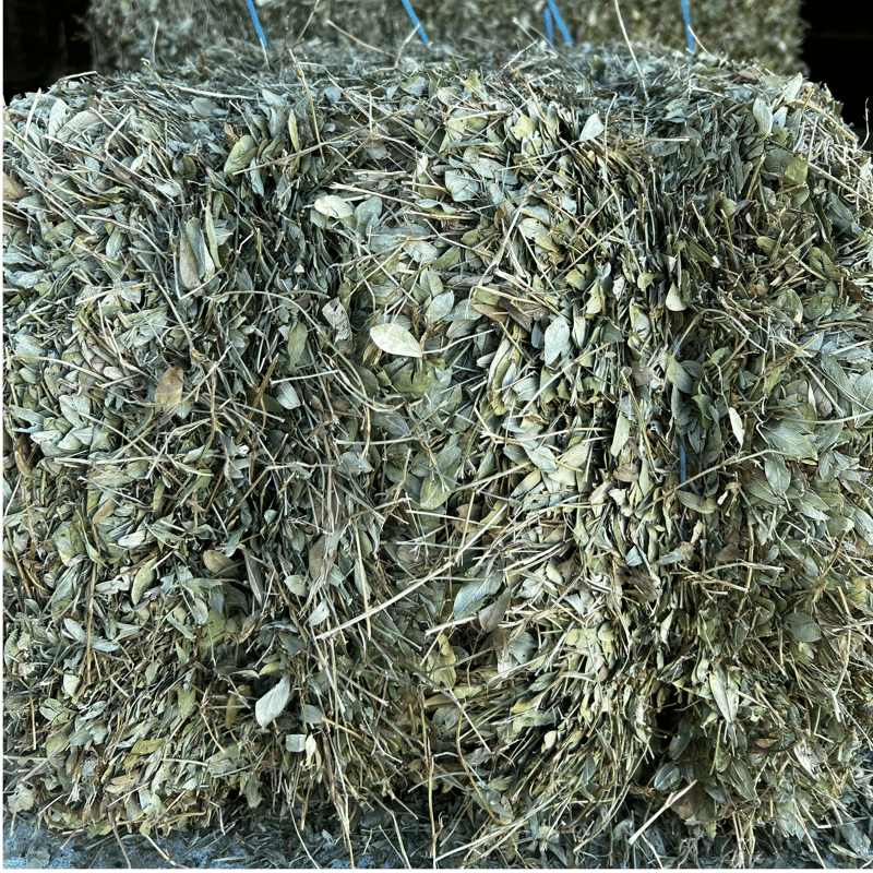 Peanut Hay