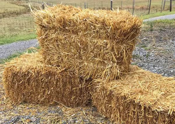Straw