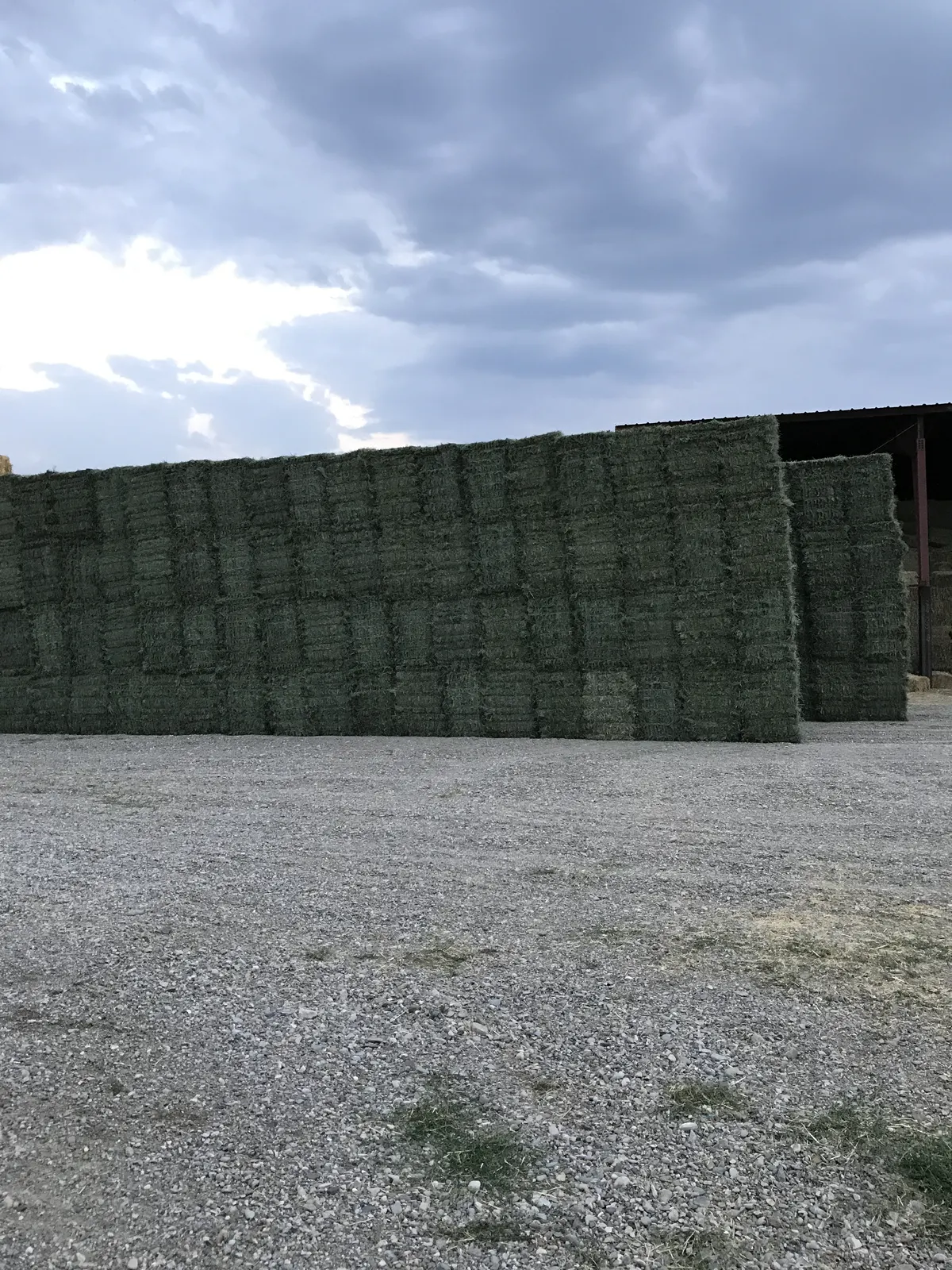 Tall stacks of bright green hay bales in the yard against a dramatic cloudy sky