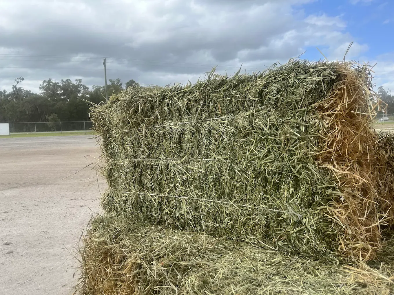 Close-up of premium hay bale showing green color and texture