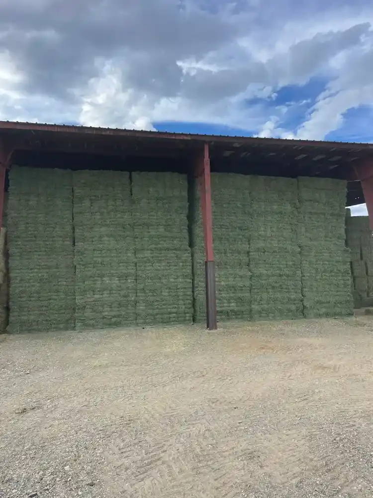 Hay bales stacked under covered barn in Nevada