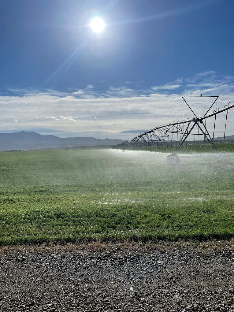 Center pivot irrigation on Nevada hay farm