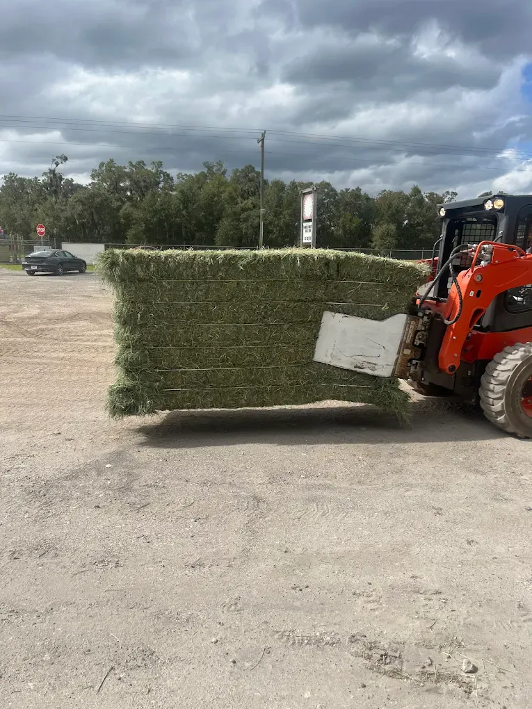 Skid steer moving large hay bale at the store