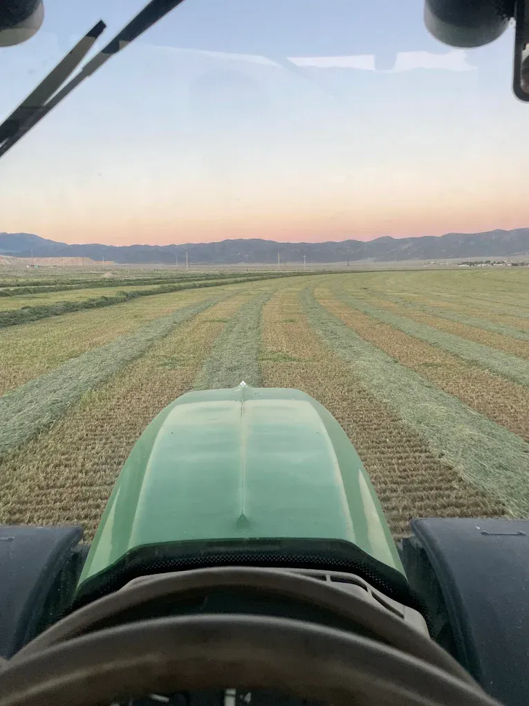 View from tractor cab during hay harvest in Nevada