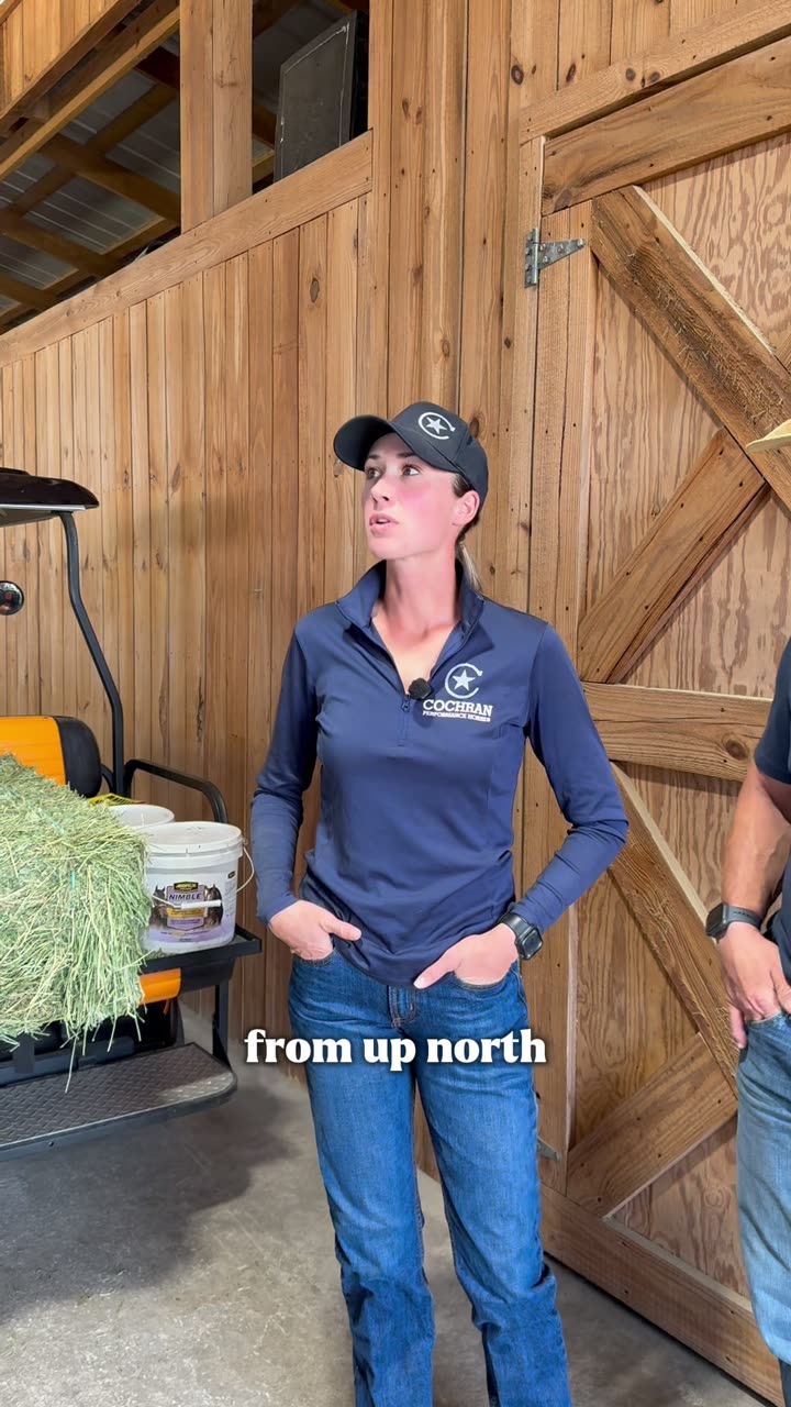 A traveling show customer testimonial